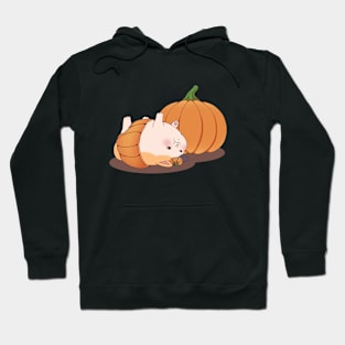 FFXIV - Halloween Pumpkin Fat Cat Hoodie